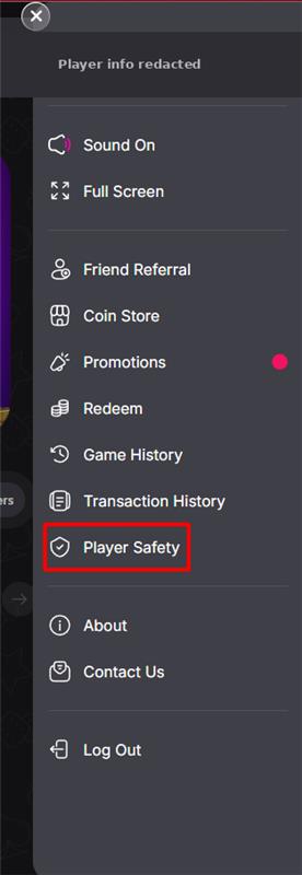 Menu with Player Safety highlighted