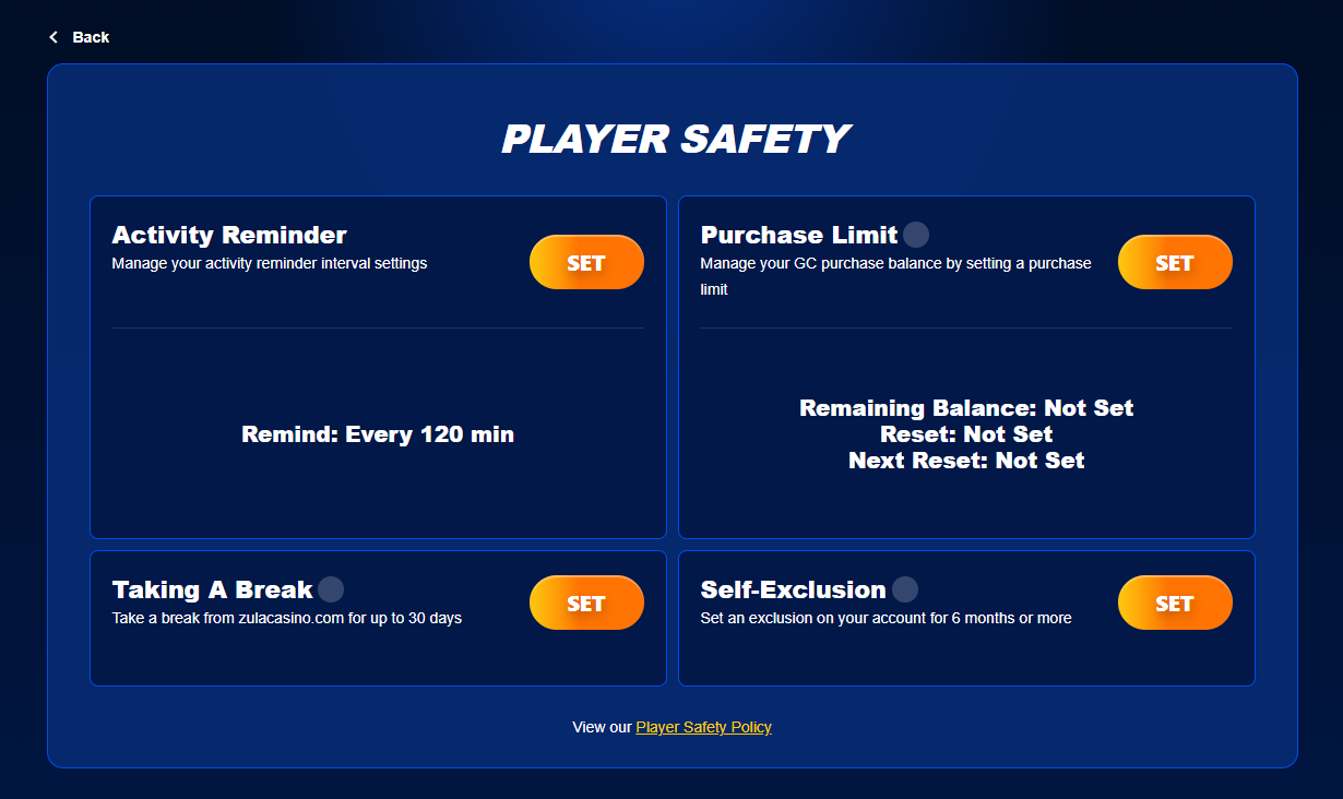 The Player Safety panel showing all four tools